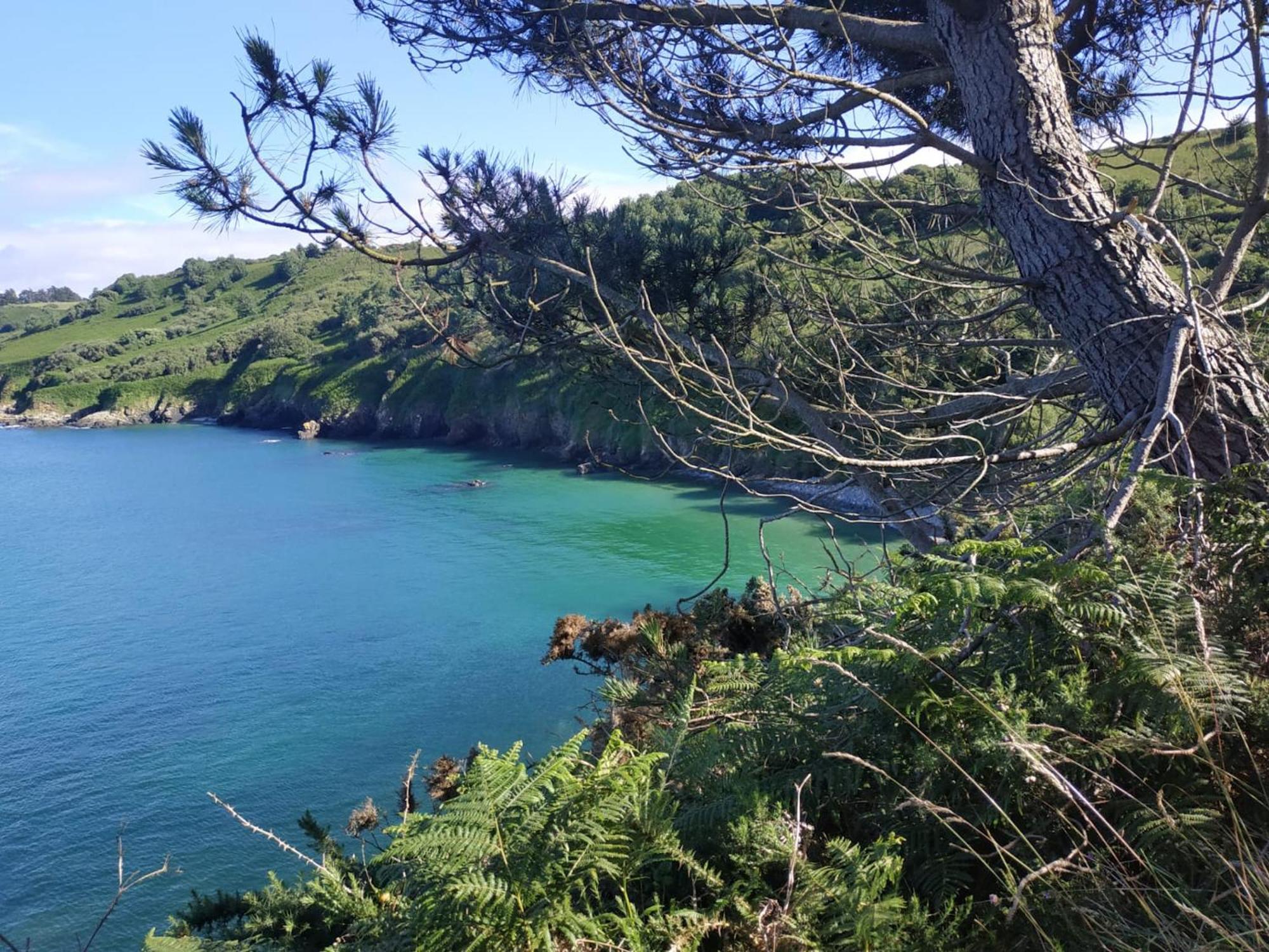 Maison Cosy Vue Mer A Guimaec ภายนอก รูปภาพ